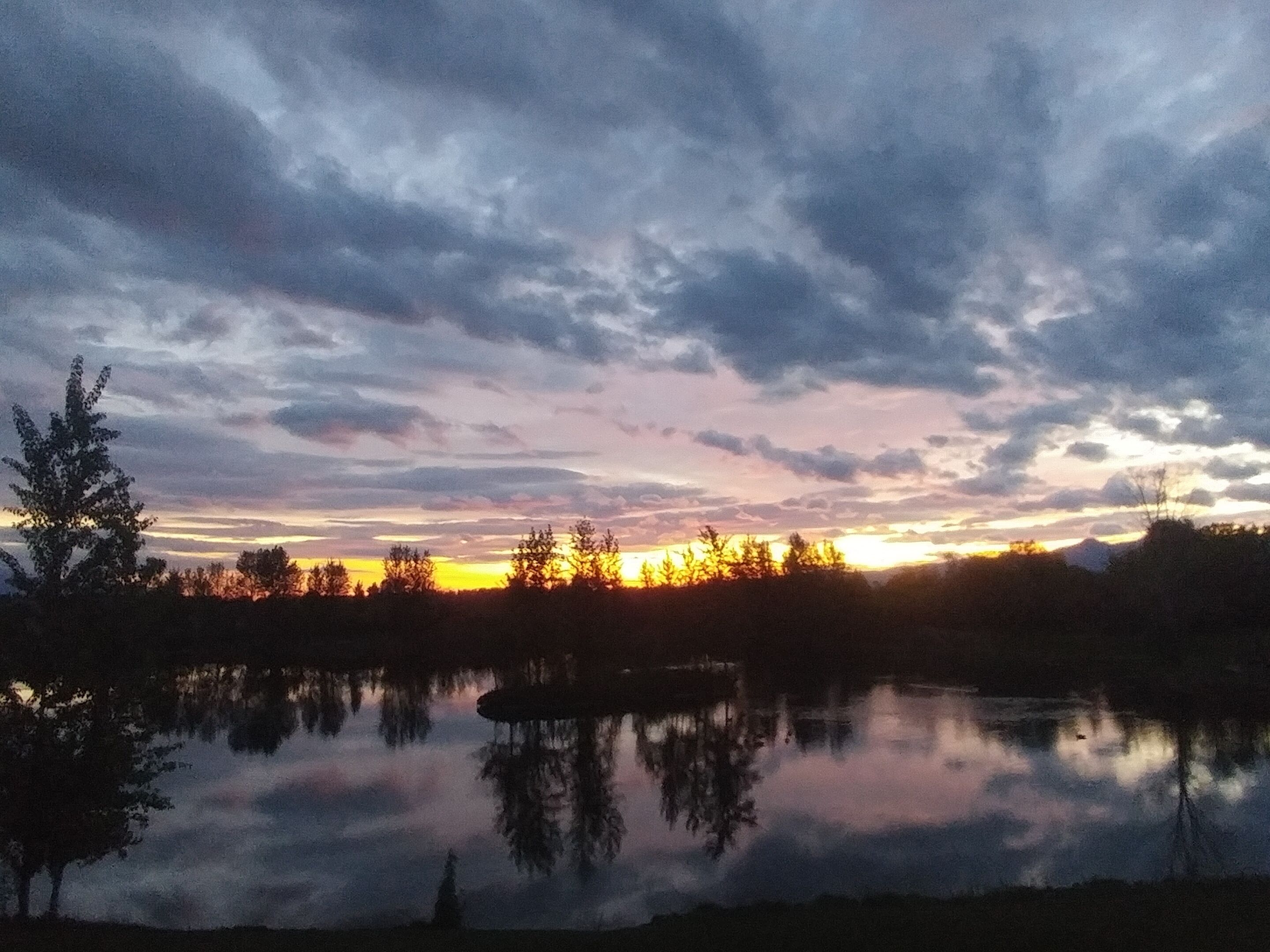 A serene landscape with a body of water reflecting trees and a cloudy sky.
