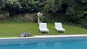 Une piscine avec deux chaises longues blanches et un lampadaire décoratif.