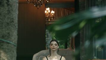 Roupas de cama de algodão egípcio, roupas de cama premium