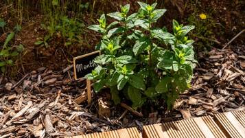 DĂ©tail de lâextĂ©rieur