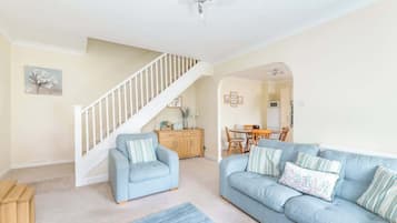 Smart TV, fireplace, DVD player, books