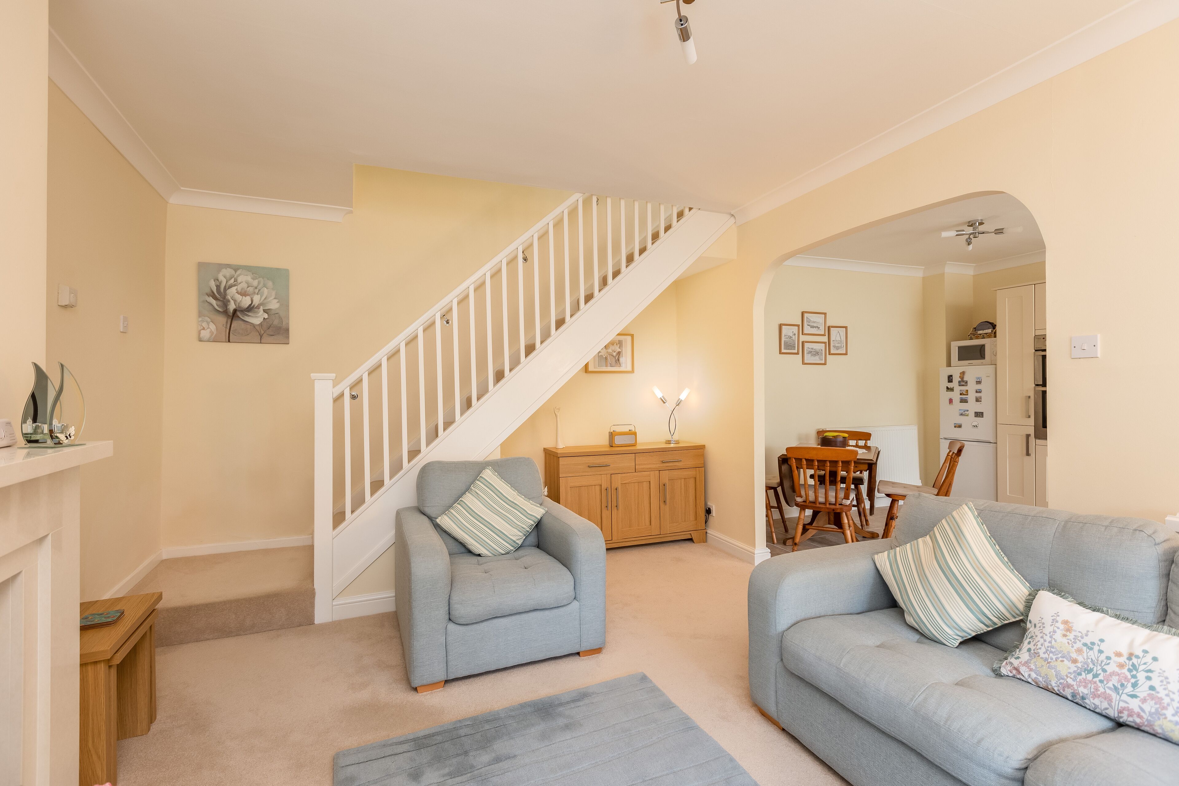 Smart TV, fireplace, DVD player, books