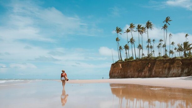 A beach with a person walking, palm trees, and a cliff. - Recanto da Lua (Prado)