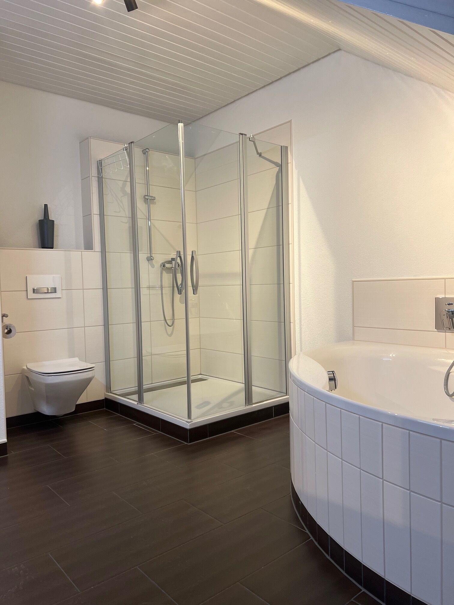 Dusche, Haartrockner, Handtücher, Toilettenpapier
