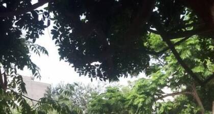 Maison de Vacances DAR Fyom au Bord de la Plage