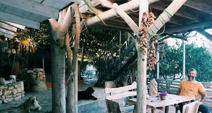 Maison de Vacances DAR Fyom au Bord de la Plage