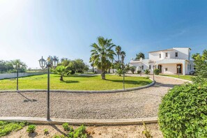 Stroll through the beautifully manicured lawn and palm trees, surrounded by a tranquil atmosphere.