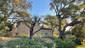 Un edificio de piedra de aspecto rústico, rodeado de exuberante vegetación y árboles.