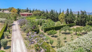 A landscaped garden with a paved path, neatly trimmed hedges, and a variety of trees and shrubs.