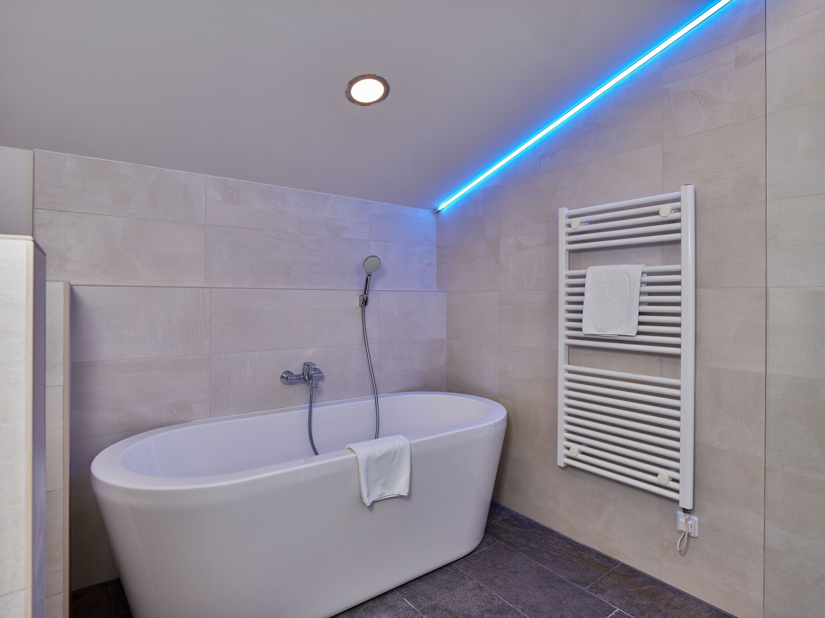 A modern bathroom with a freestanding bathtub, a wall-mounted towel rack, and a ceiling light.