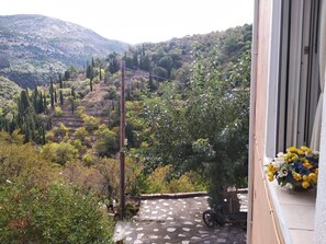 Garden - Aggelos House in Kalamitsi (Lefkada)