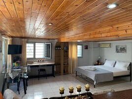 1 habitación 