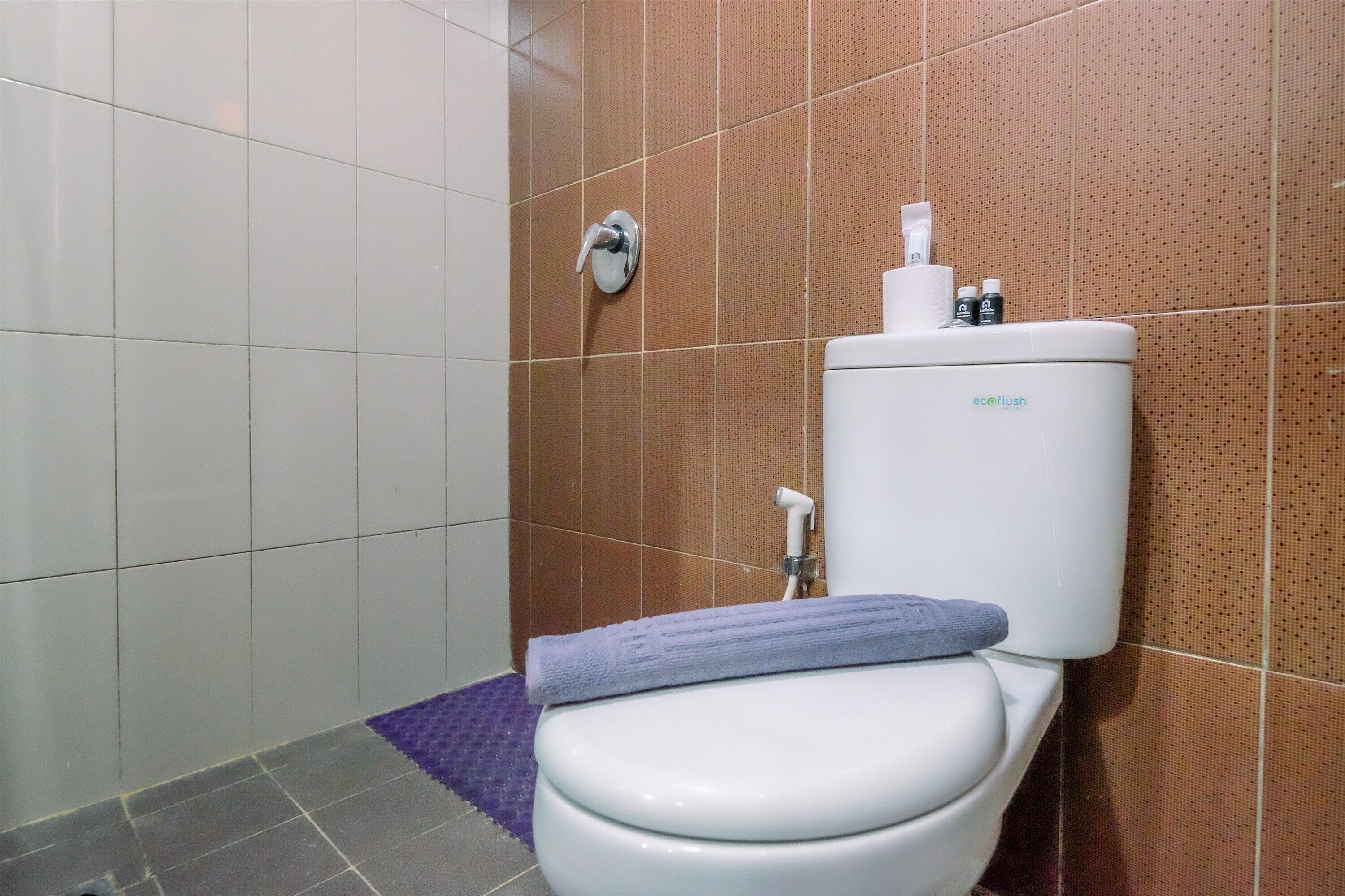 A bathroom with a white toilet, a purple bath mat, and a toilet paper holder with a tissue dispenser.