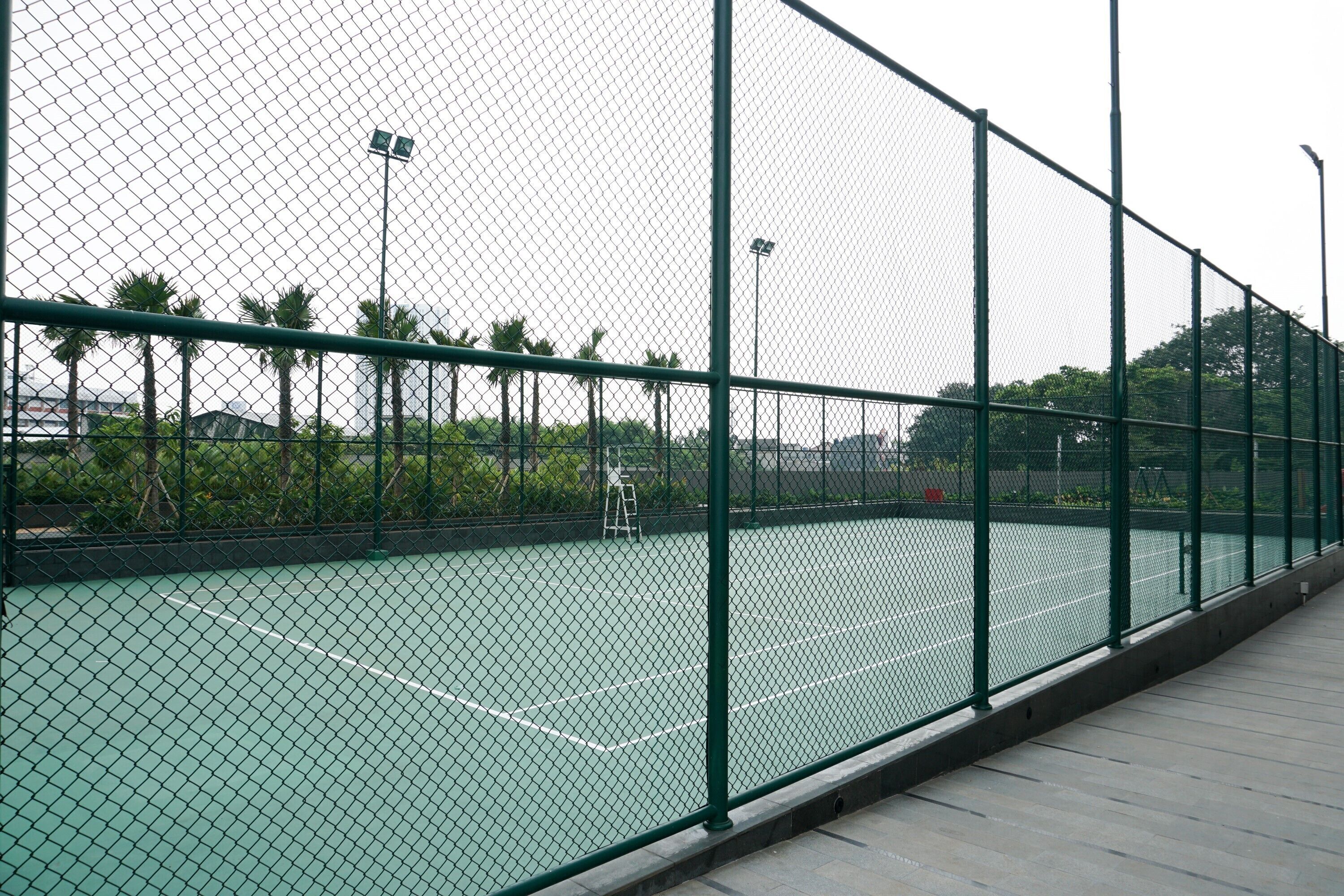 A tennis court with a chain-link fence, a ladder, and palm trees in the background.