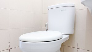 A white toilet with an 'ecoflush' label in a bathroom with tiled walls.
