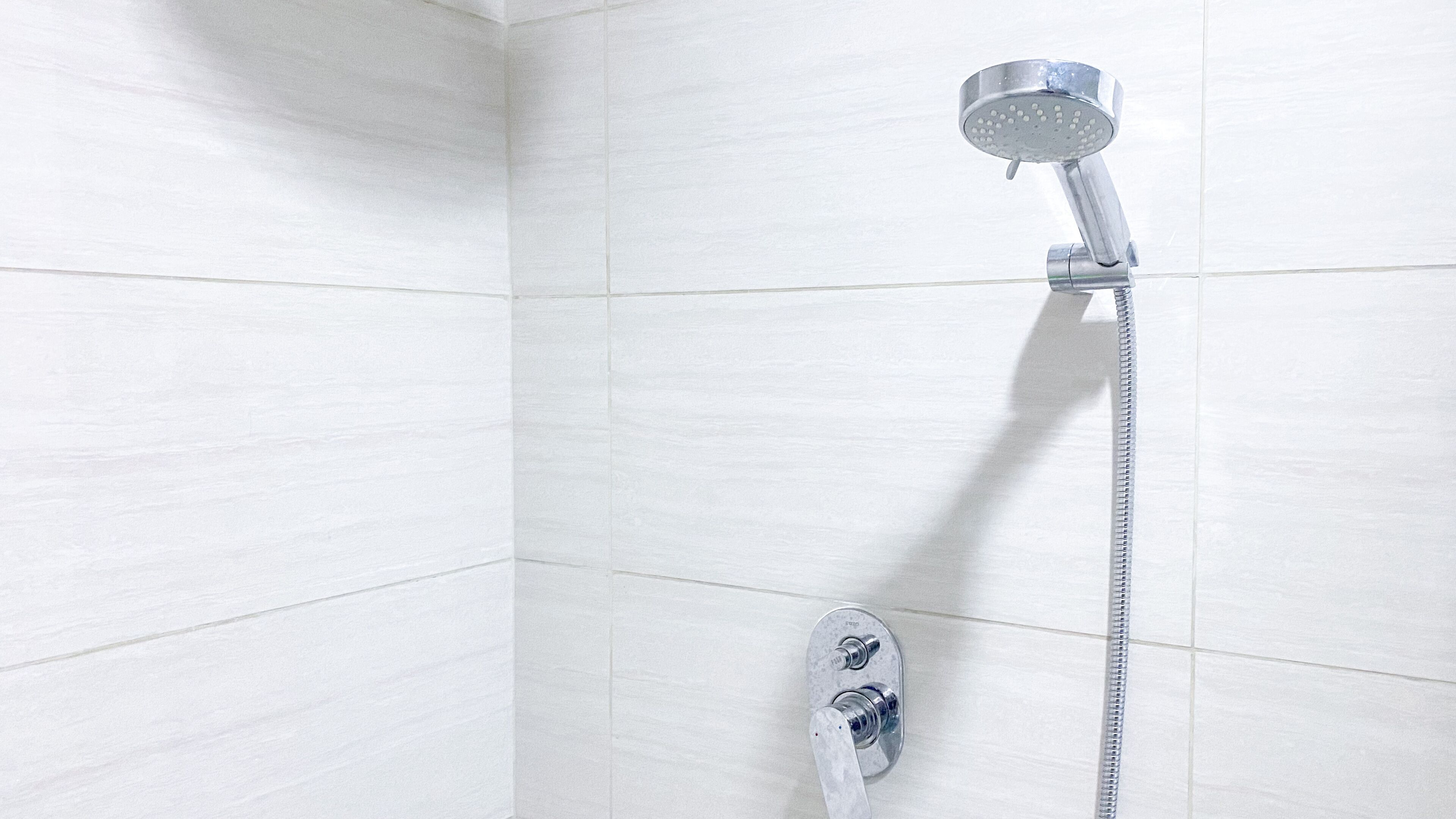 A shower with a handheld showerhead and a flexible hose.