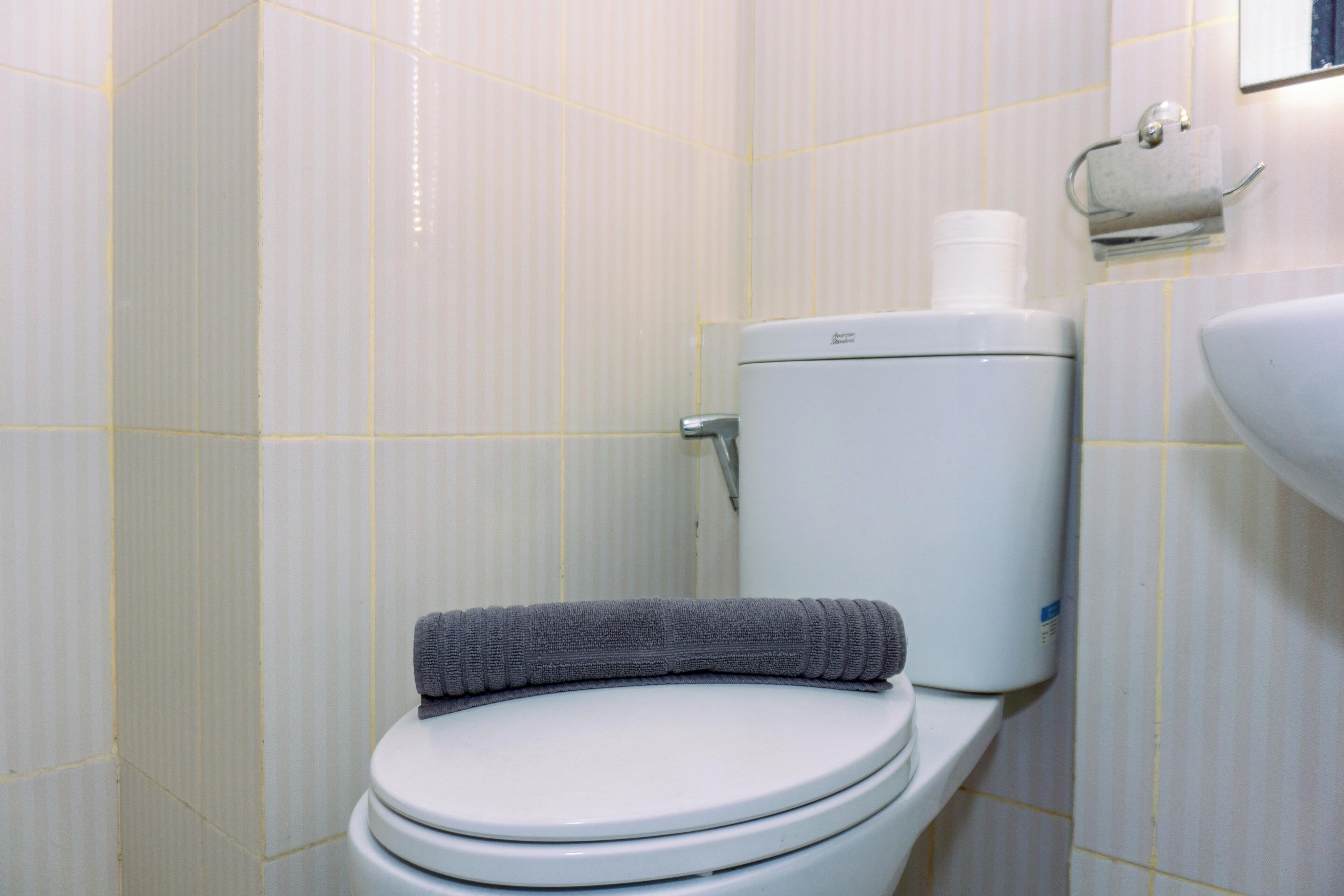 Sanitário branco com toalha cinza em cima, suporte de papel higiênico na parede e uma pia à direita.