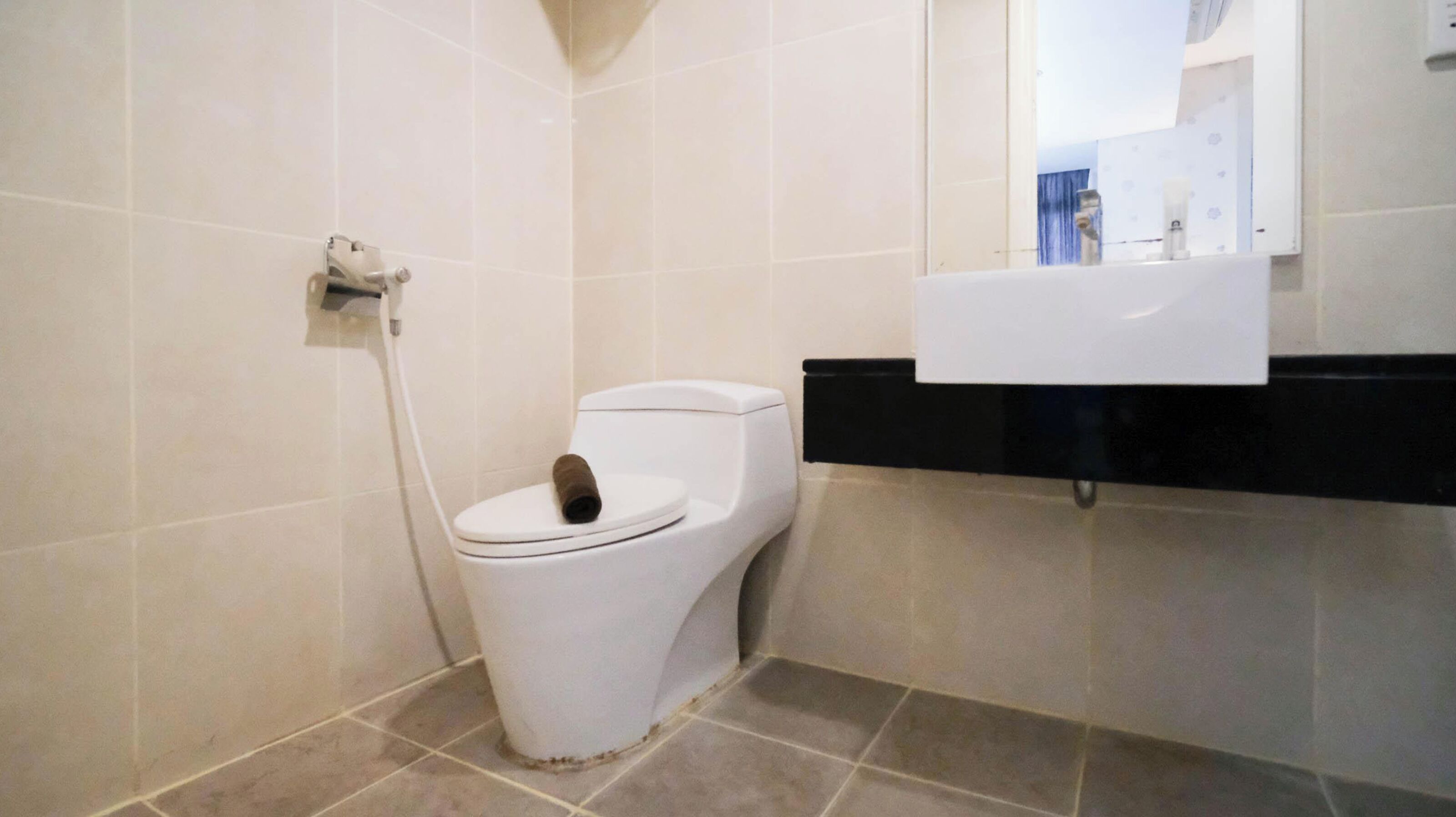 Ein Badezimmer mit einer weißen Toilette, einem schwarzen Waschbecken und einem Spiegel darüber.