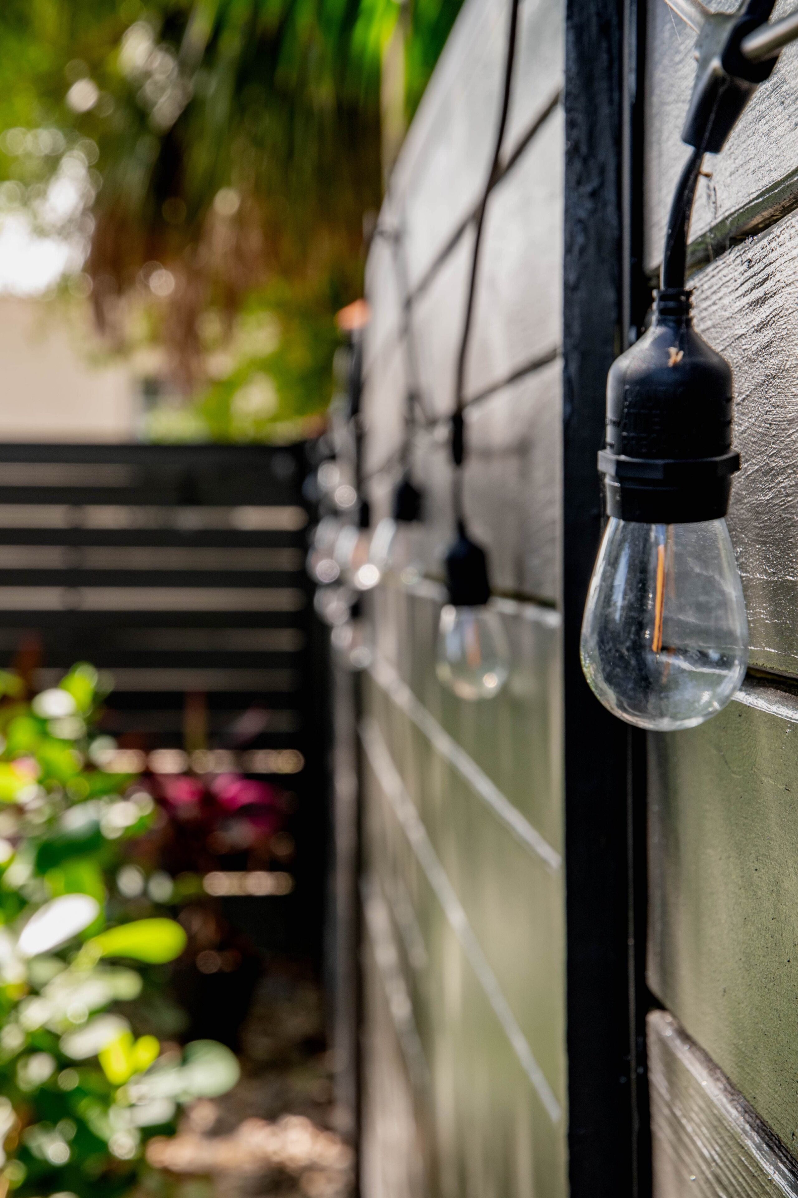 A close-up of a light bulb hanging from a wall, with a blurred background of greenery.