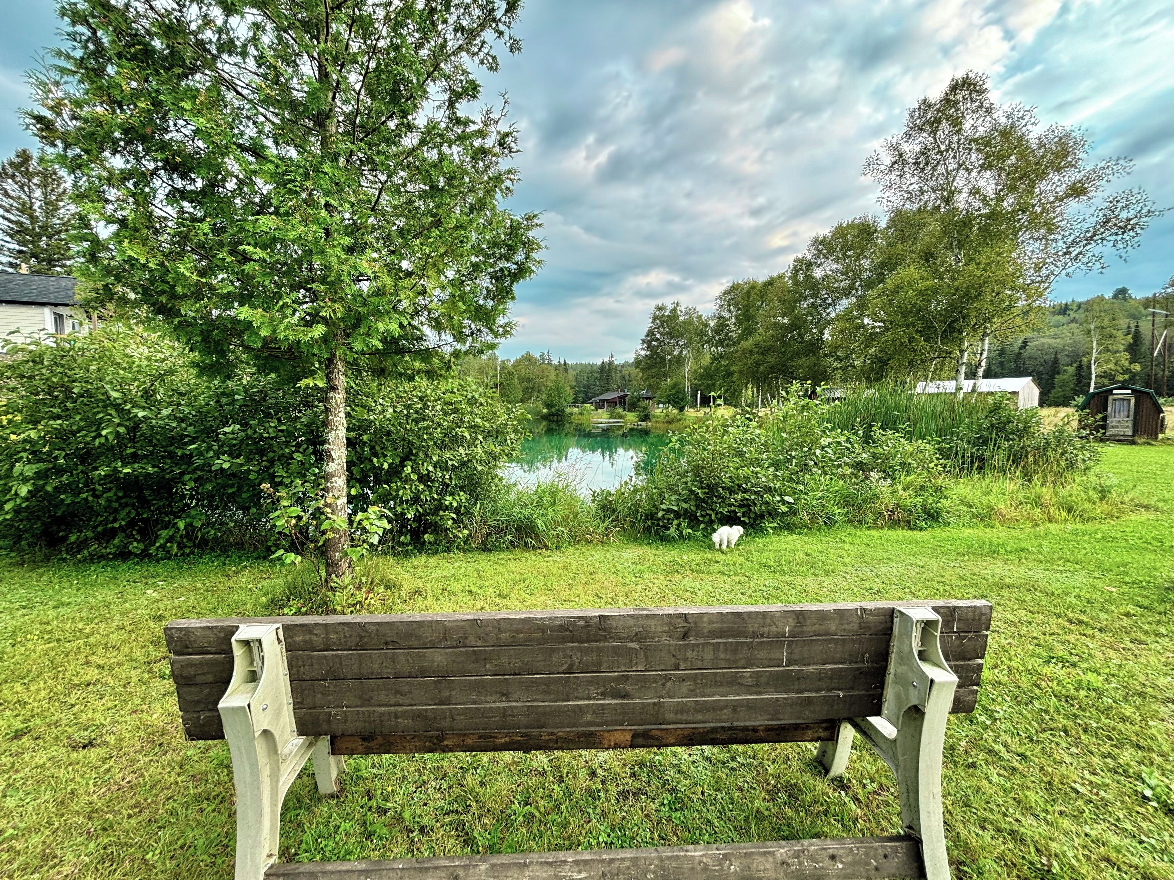 Un banc dans un parc, avec un lac et des arbres en arrière-plan.