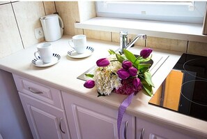 Kühlschrank, Herdplatte, Wasserkocher, Esstisch