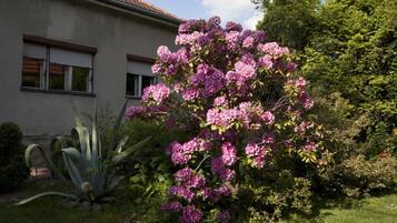 Apartment (Branka - colorful - R2(1)) | Exterior