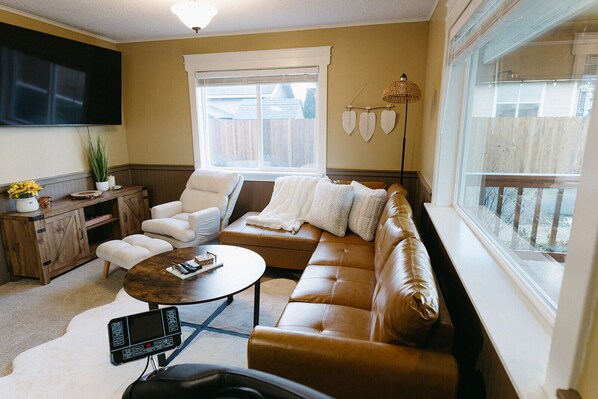 Smart TV, chimenea, reproductor de DVD y libros 