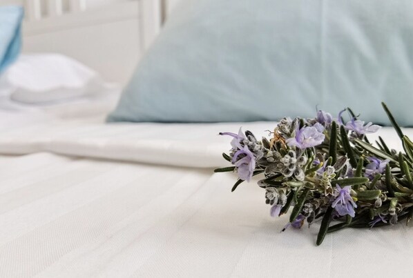 Apartament (Boutique Rooms - with pool - 1 - R101) | Exterior