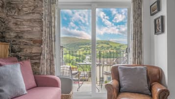 TV connectée, cheminée, lecteur de DVD