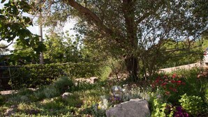 A garden with various plants and a large rock. - Holiday apartment on the quiet (Vrbnik)
