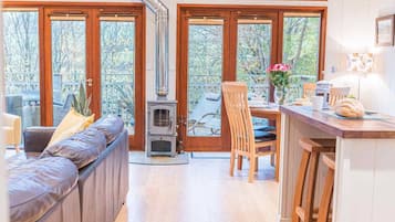 TV connectée, cheminée