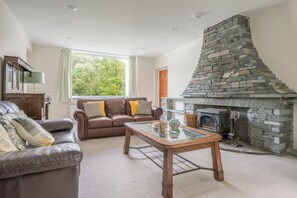 Smart TV, fireplace
