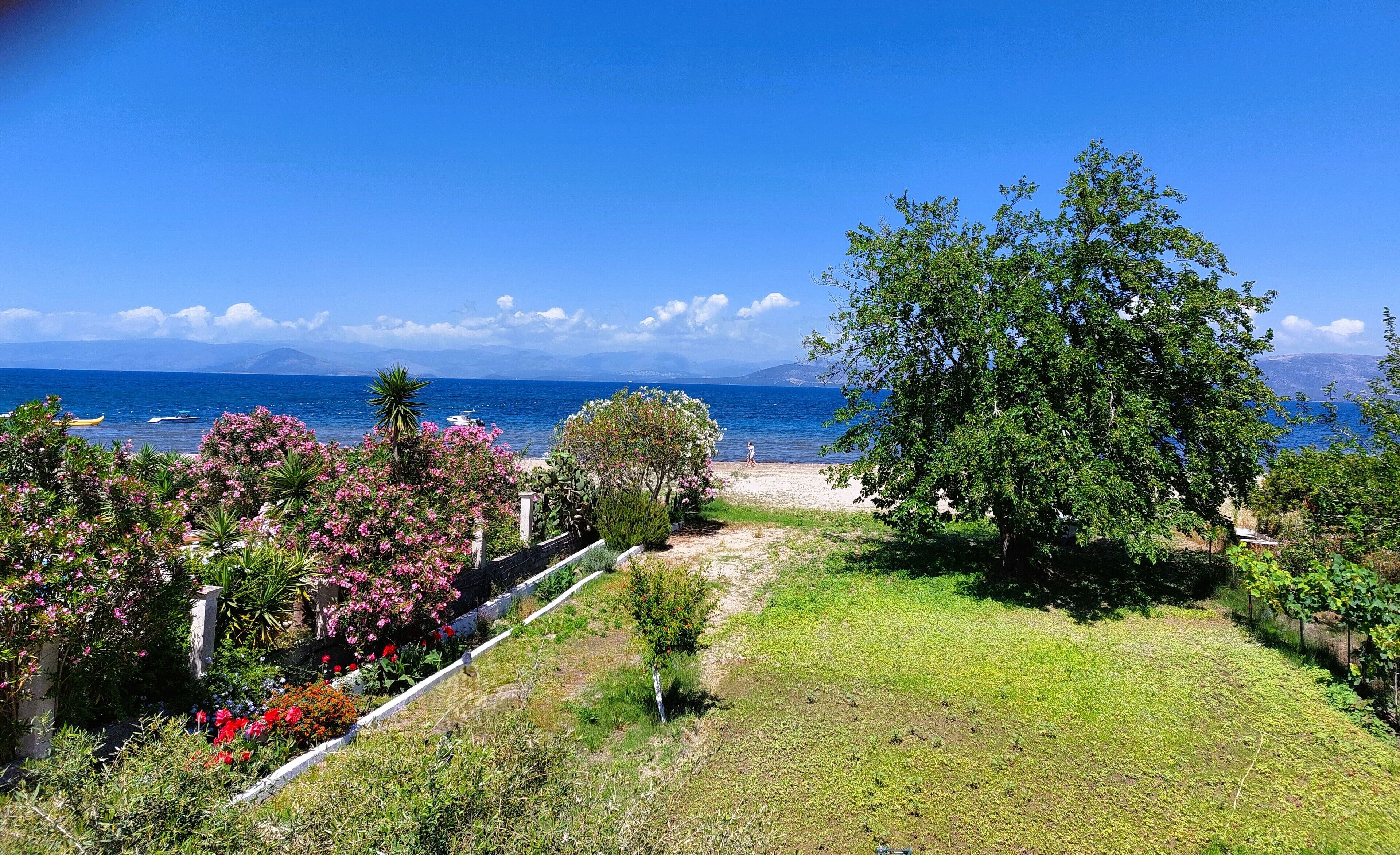 Paisagem costeira com vista clara para o mar, uma praia de areia e diversas plantas, incluindo árvores e flores.