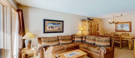 Télévision, cheminée, lecteur de DVD, livres