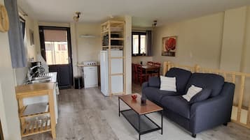 TV connectée, cheminée, livres, médiathÚque