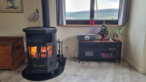 Een houtkachel met zichtbare vlammen, een radiator, een kleine kerstboom en een potplant bij een raam.