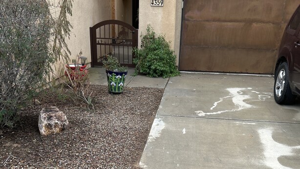 A residential driveway with a concrete path, a large rock, and a potted plant.