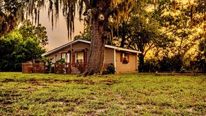 A single-story house with a porch, surrounded by a grassy yard and trees with hanging moss.