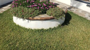 A landscaped garden with a palm tree, flowers, and a view of the ocean.