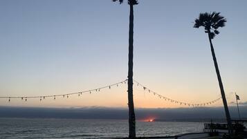 A sunset view with palm trees and string lights along a waterfront promenade.
