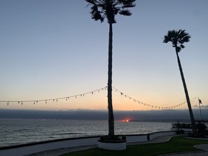 Vista al atardecer con palmeras y luces colgantes a lo largo de un paseo marítimo.