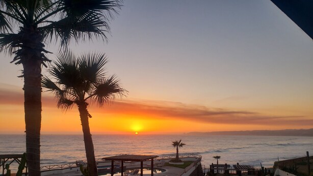 A sunset view from a terrace with palm trees, a pool, and a beach in the background.