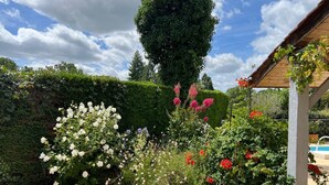 Un giardino con diverse piante in fiore e un pergolato in legno.