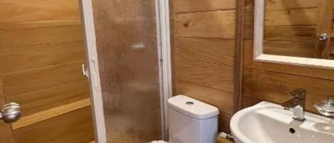 Hair dryer, soap, shampoo, toilet paper