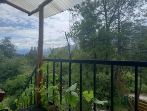 Property grounds - Treehouses (El bolsón)