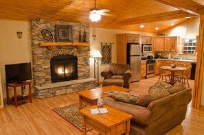 Télévision, chemin�ée, lecteur de DVD