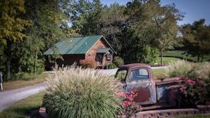 Une cabane rustique au toit végétalisé, entourée de hautes herbes et de fleurs roses, avec un vieux camion garé à proximité.