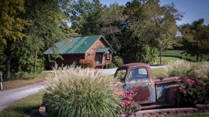 A rustic cabin with a green roof, surrounded by tall grasses and pink flowers, with an old truck parked nearby. - Hot Tub Cabin- In the Heart of Shawnee Wine Trail (Carbondale)
