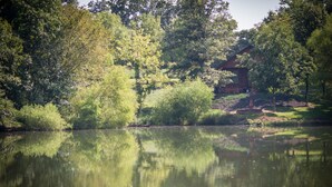 A cabin surrounded by dense trees and a calm lake. - Hot Tub Cabin- In the Heart of Shawnee Wine Trail (Carbondale)