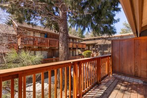 Property grounds - Steps Away From Slopes Beautiful Snow Summit Cabin (Big Bear Lake)